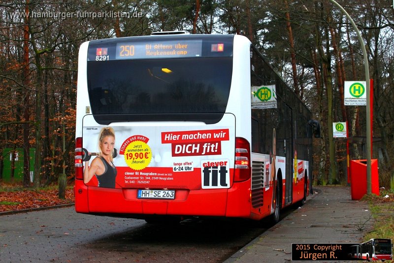 14) 8291-44,SBG,JN.jpg